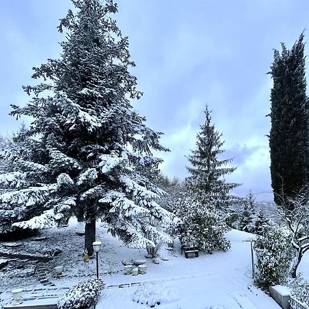 Mazzetti Country House-Vita In Campagna Con Giardino Vimignano-Chiesa Dış mekan fotoğraf