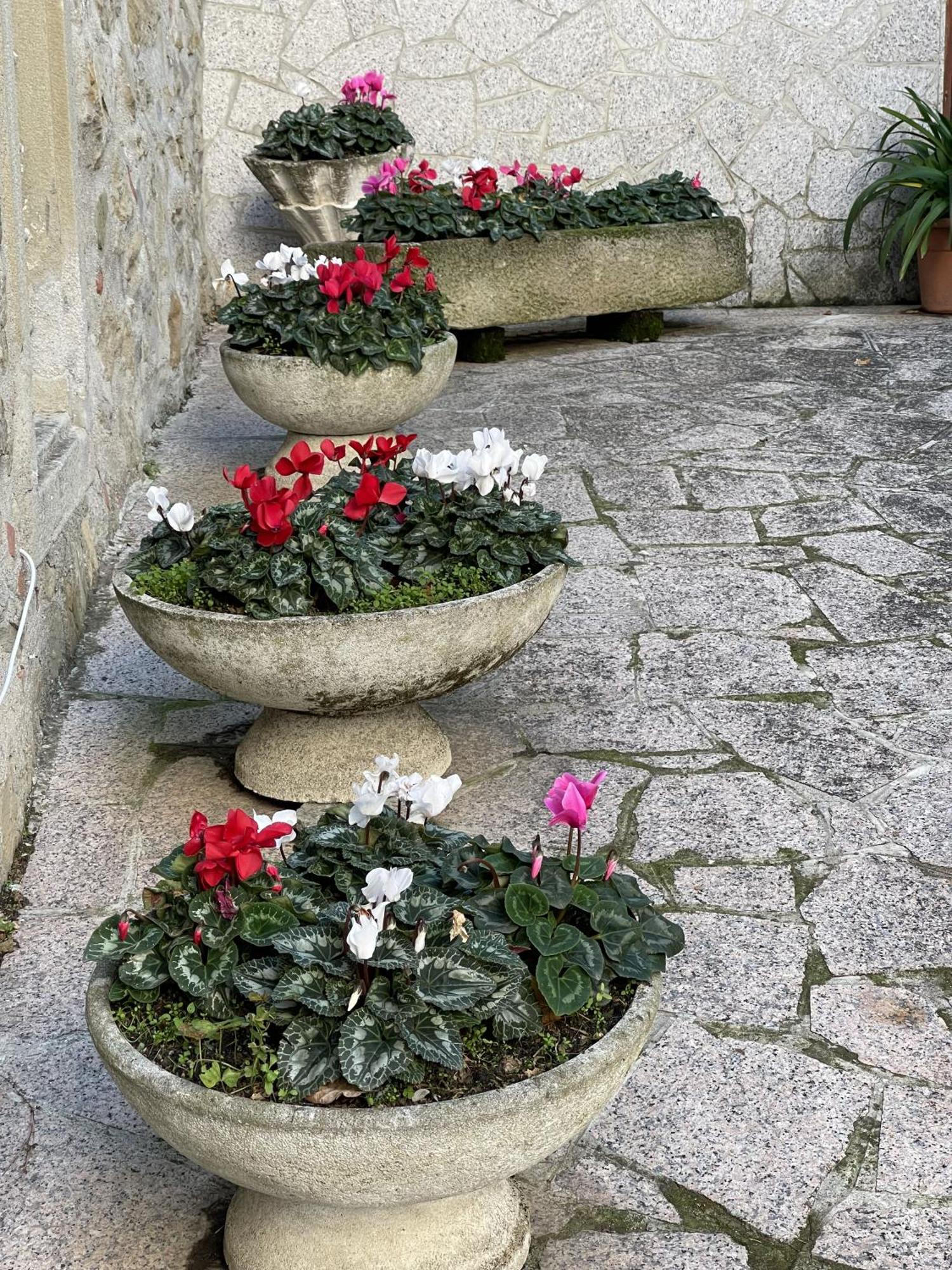 Mazzetti Country House-Vita In Campagna Con Giardino Vimignano-Chiesa Dış mekan fotoğraf