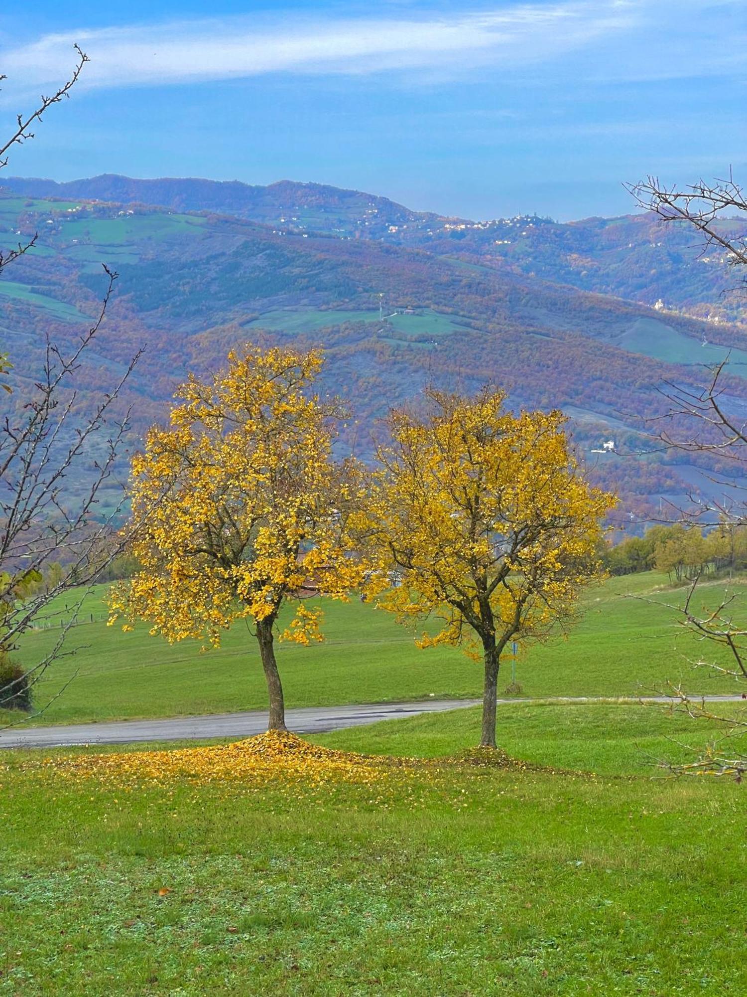 Mazzetti Country House-Vita In Campagna Con Giardino Vimignano-Chiesa Dış mekan fotoğraf