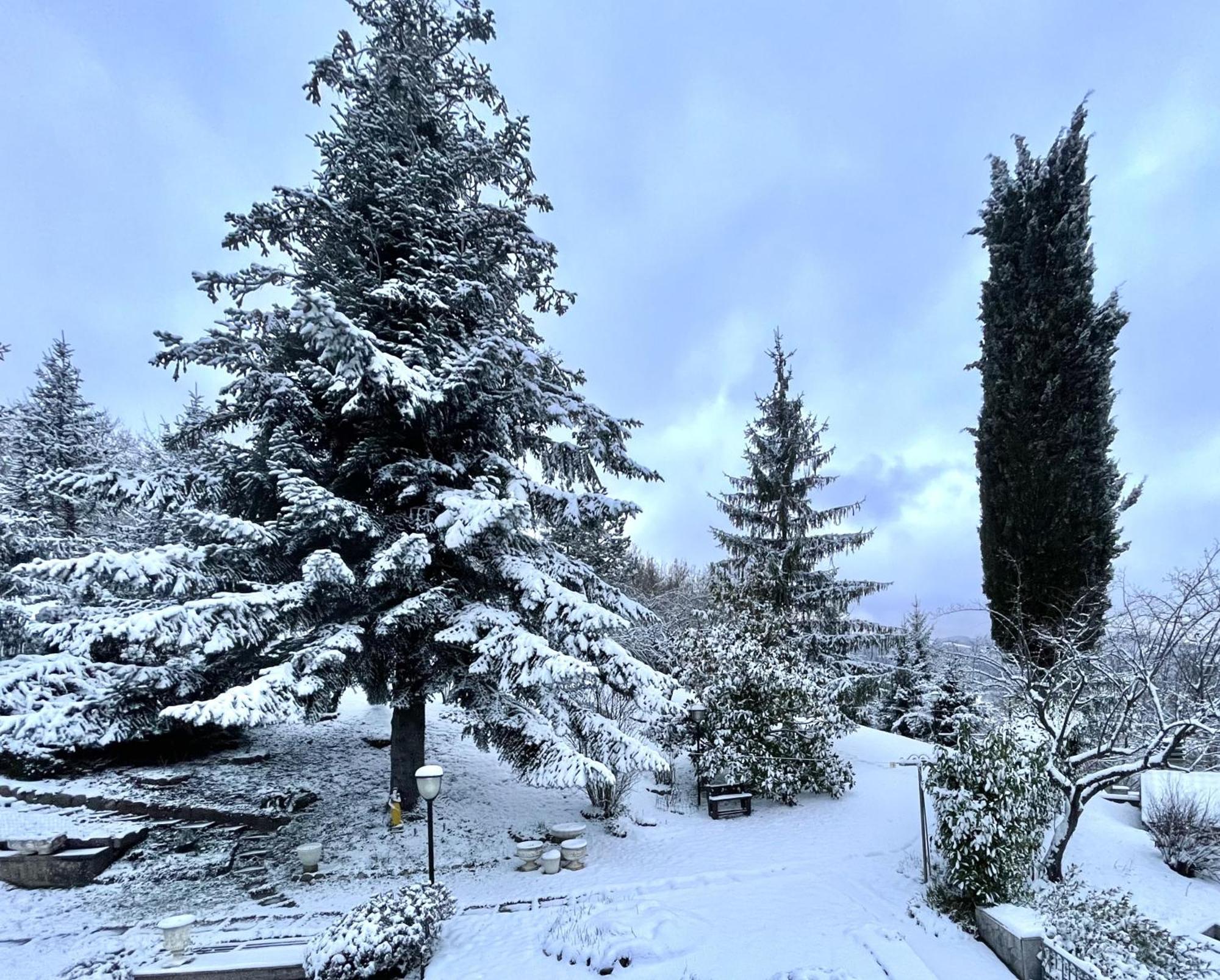 Mazzetti Country House-Vita In Campagna Con Giardino Vimignano-Chiesa Dış mekan fotoğraf