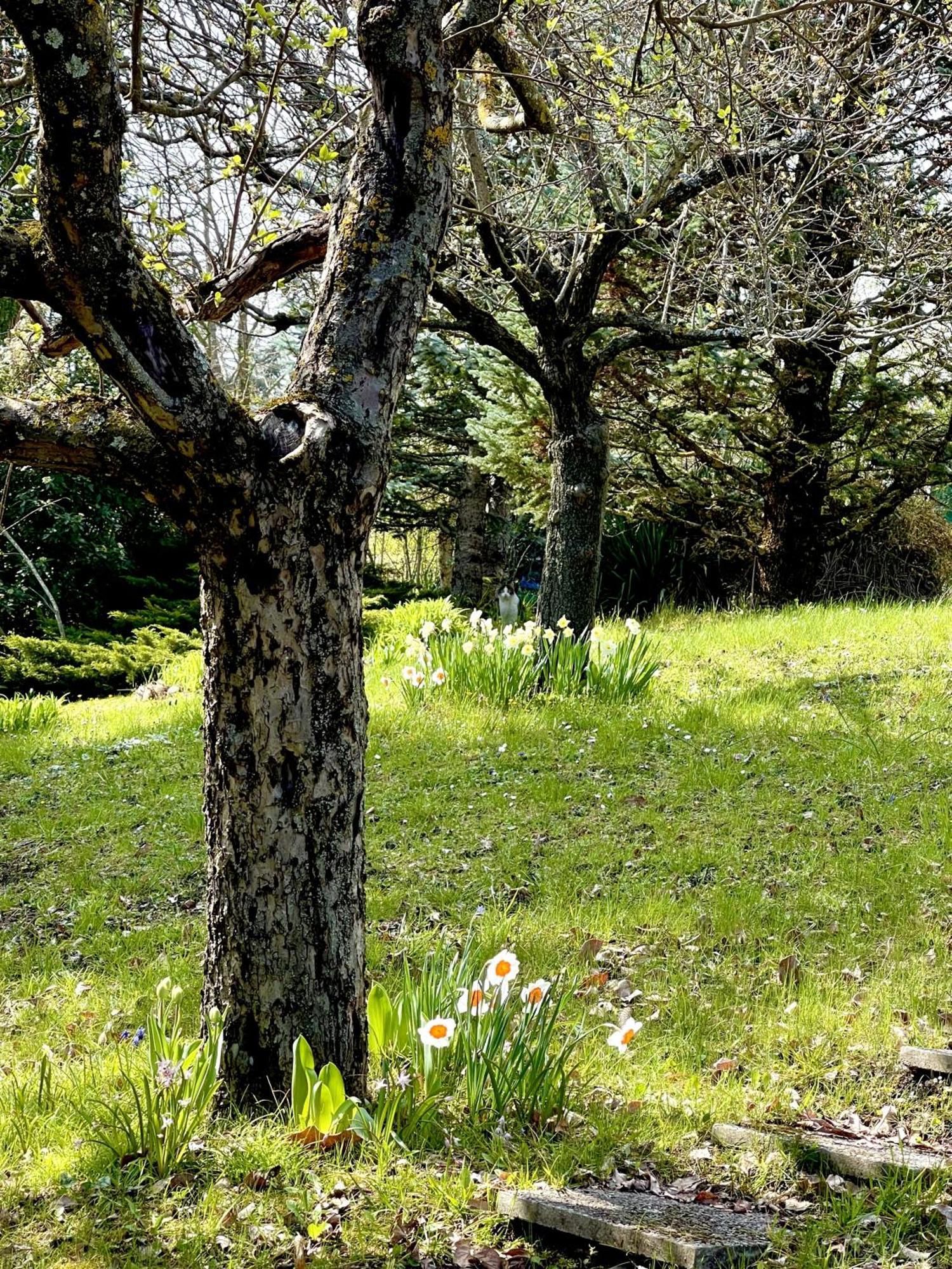 Mazzetti Country House-Vita In Campagna Con Giardino Vimignano-Chiesa Dış mekan fotoğraf