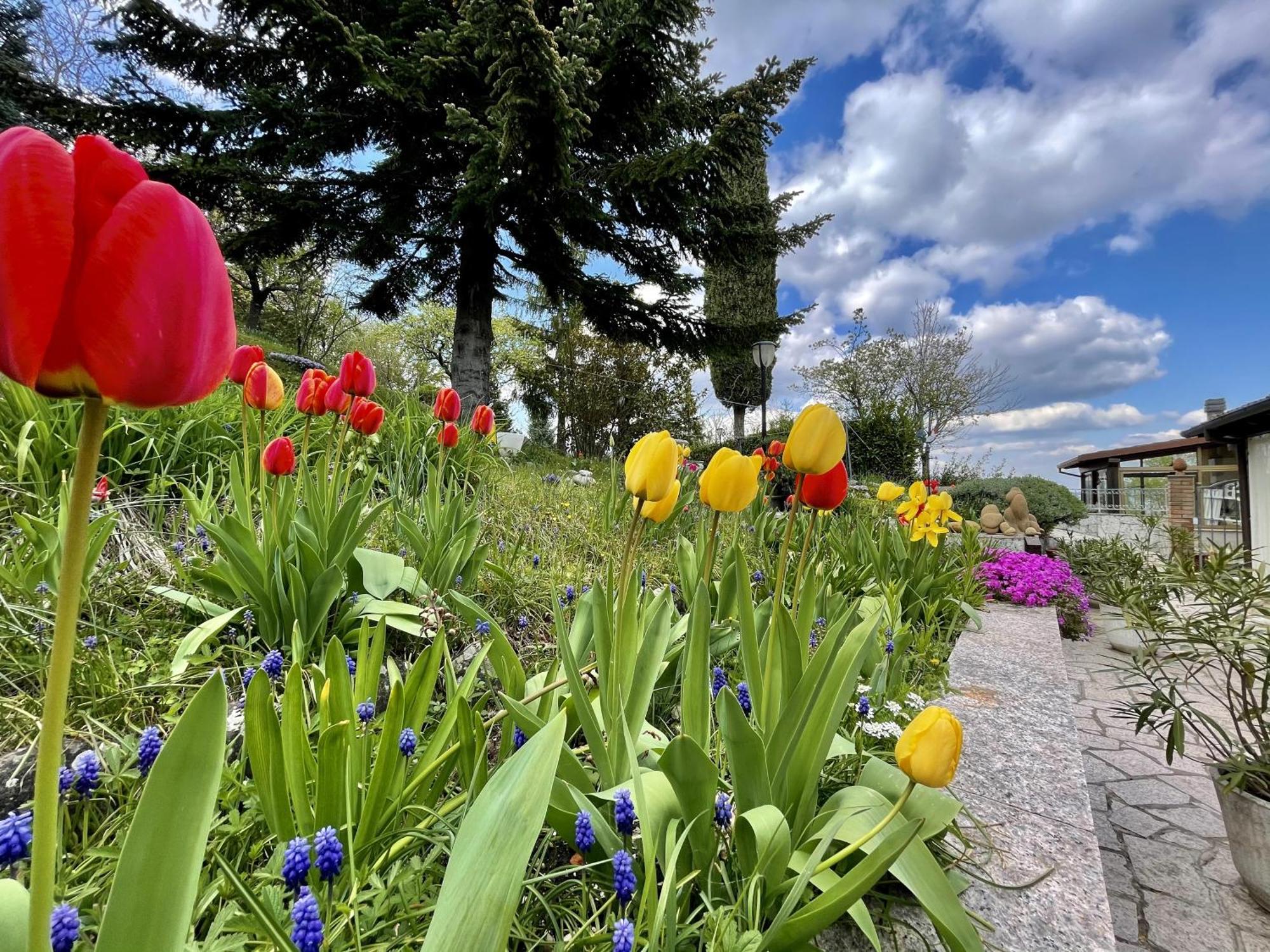 Mazzetti Country House-Vita In Campagna Con Giardino Vimignano-Chiesa Dış mekan fotoğraf