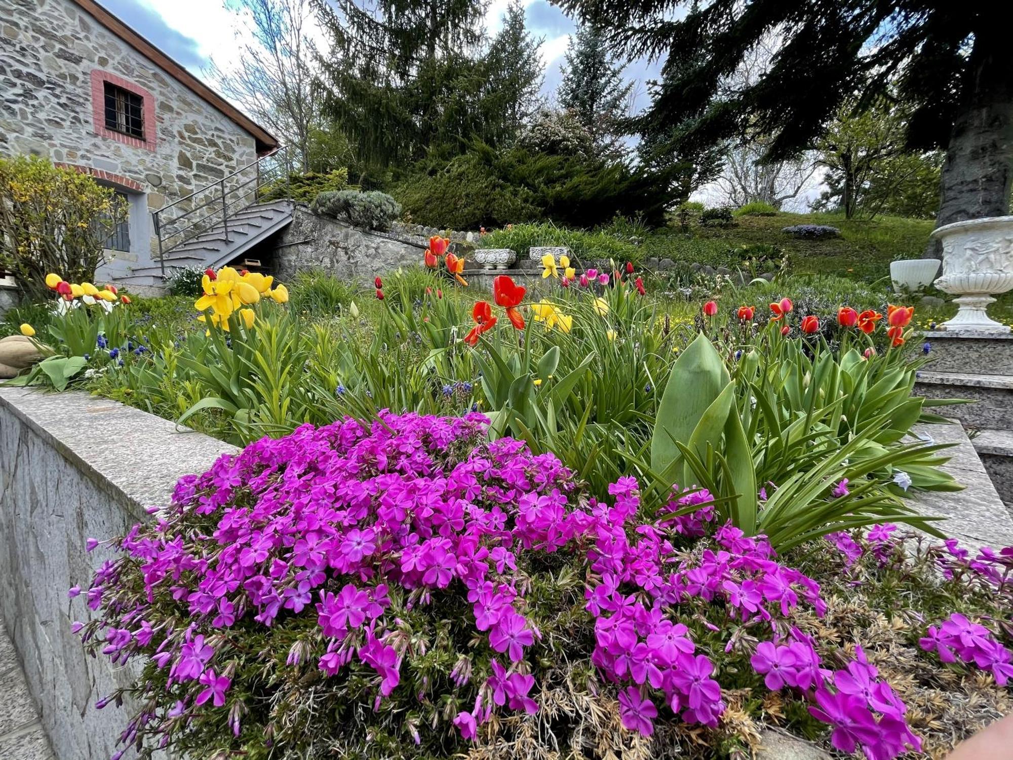 Mazzetti Country House-Vita In Campagna Con Giardino Vimignano-Chiesa Dış mekan fotoğraf