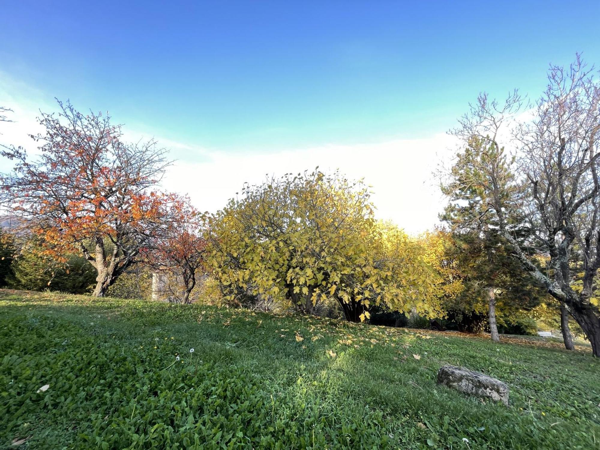 Mazzetti Country House-Vita In Campagna Con Giardino Vimignano-Chiesa Dış mekan fotoğraf