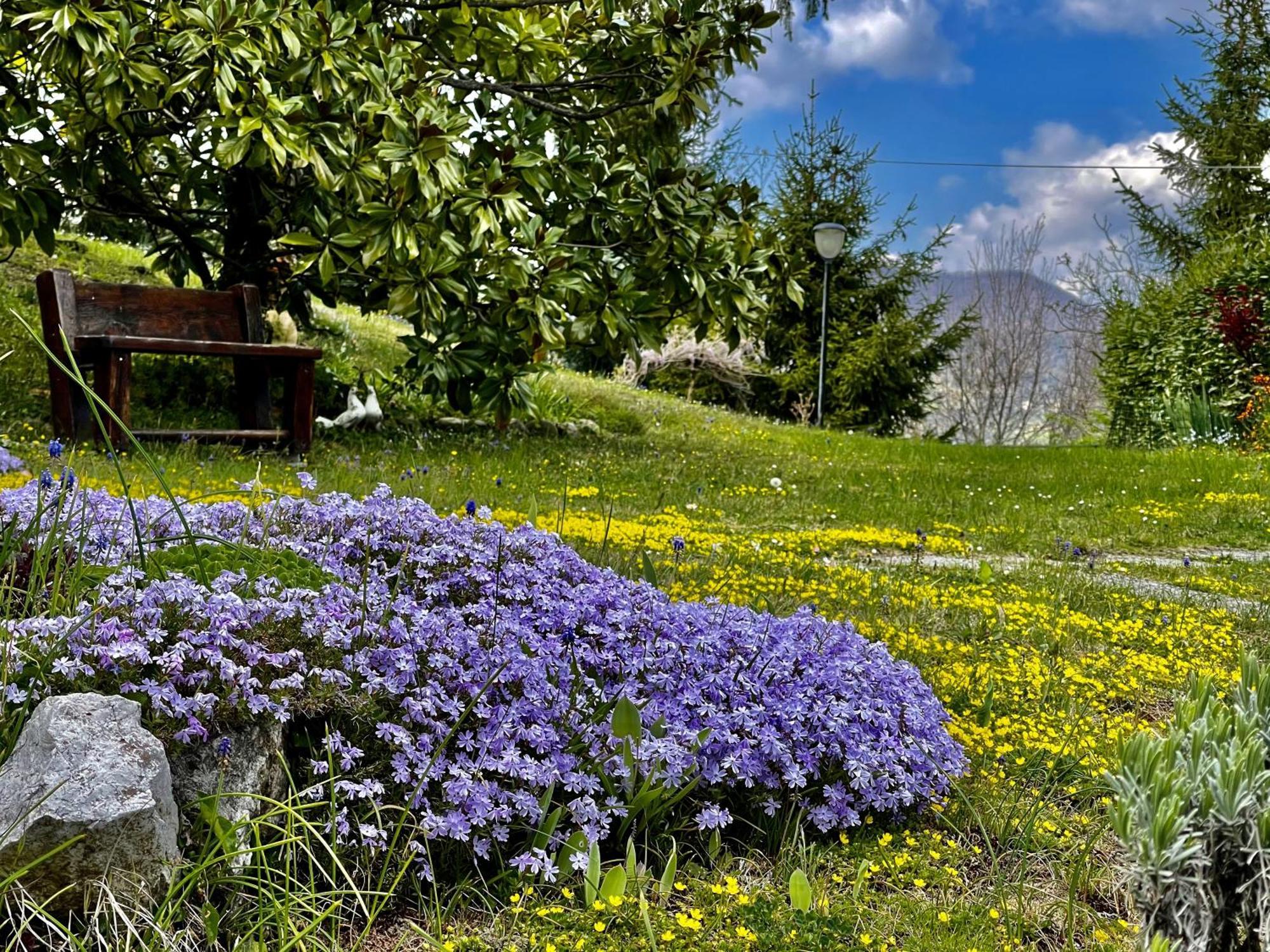 Mazzetti Country House-Vita In Campagna Con Giardino Vimignano-Chiesa Dış mekan fotoğraf
