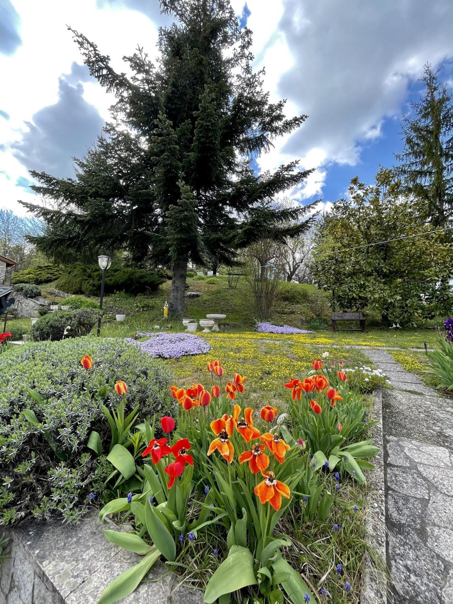 Mazzetti Country House-Vita In Campagna Con Giardino Vimignano-Chiesa Dış mekan fotoğraf